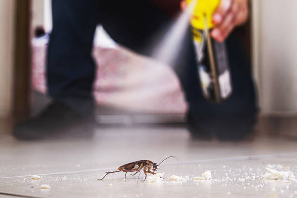 Best Local Pest Control Services  in Rose Hills, CA